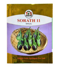 Brinjal Sorath-11